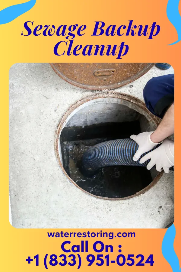 Sewage Backup Cleanup in Bonneauville, PA